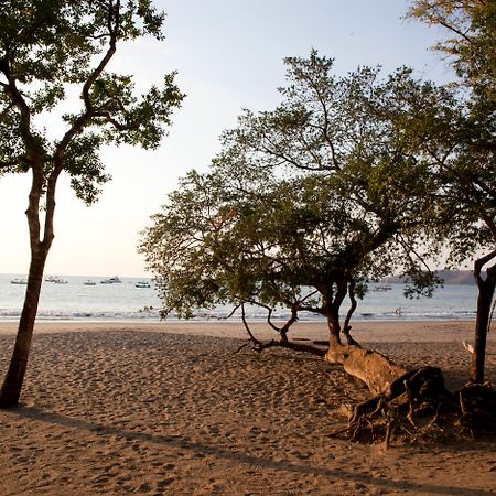 Hotel Bosque Del Mar Playa Hermosa 플라야 에르모사 외부 사진